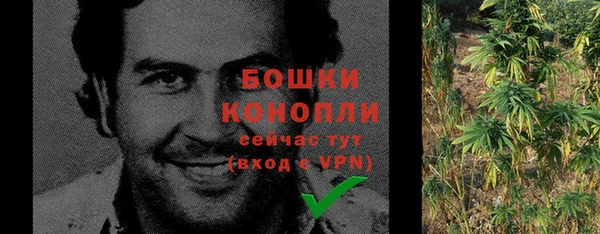 сатива Волосово