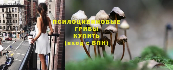 первитин Володарск